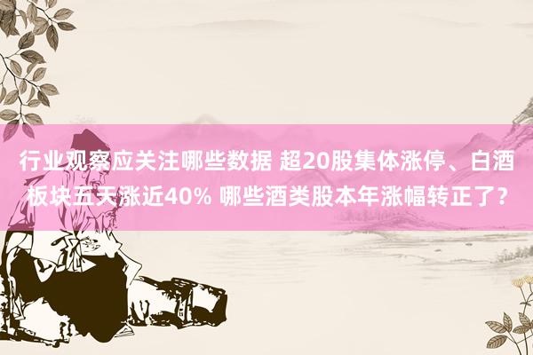 行业观察应关注哪些数据 超20股集体涨停、白酒板块五天涨近40% 哪些酒类股本年涨幅转正了？