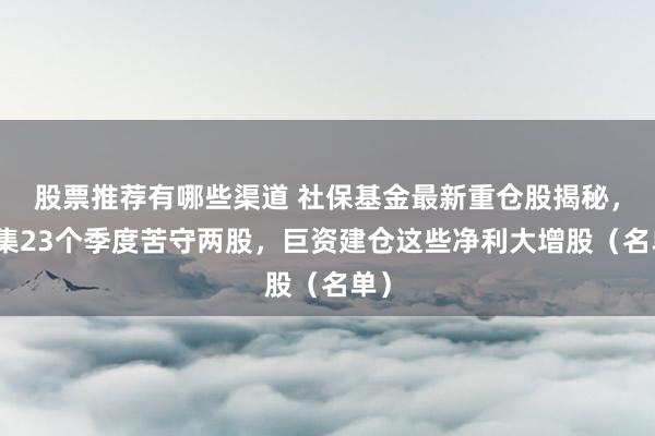 股票推荐有哪些渠道 社保基金最新重仓股揭秘，蚁集23个季度苦守两股，巨资建仓这些净利大增股（名单）