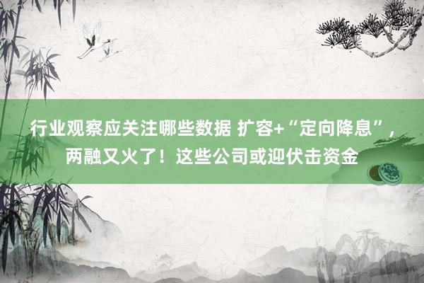 行业观察应关注哪些数据 扩容+“定向降息”，两融又火了！这些公司或迎伏击资金