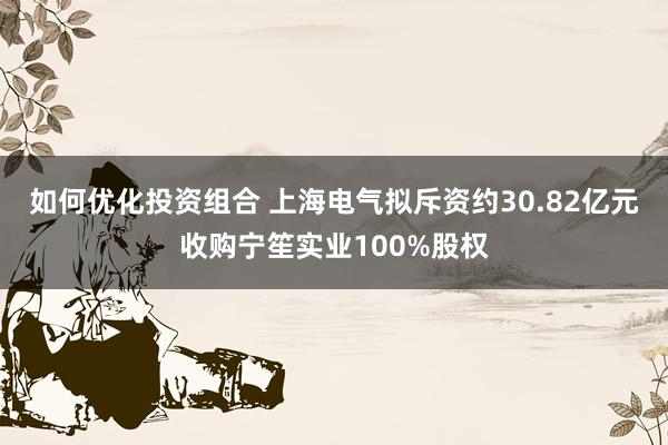 如何优化投资组合 上海电气拟斥资约30.82亿元收购宁笙实业100%股权