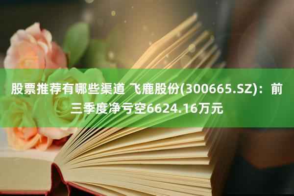 股票推荐有哪些渠道 飞鹿股份(300665.SZ)：前三季度净亏空6624.16万元