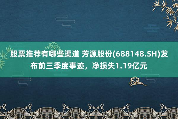 股票推荐有哪些渠道 芳源股份(688148.SH)发布前三季度事迹，净损失1.19亿元