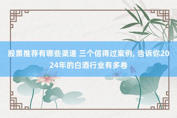 股票推荐有哪些渠道 三个信得过案例, 告诉你2024年的白酒行业有多卷