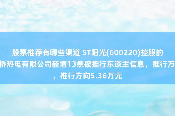 股票推荐有哪些渠道 ST阳光(600220)控股的江苏阳光新桥热电有限公司新增13条被推行东谈主信息，推行方向5.36万元