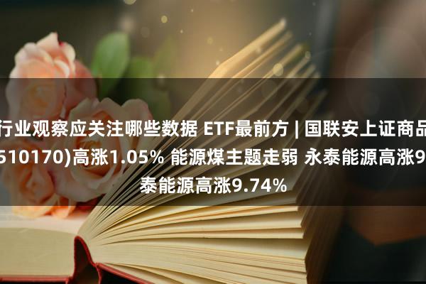 行业观察应关注哪些数据 ETF最前方 | 国联安上证商品ETF(510170)高涨1.05% 能源煤主题走弱 永泰能源高涨9.74%