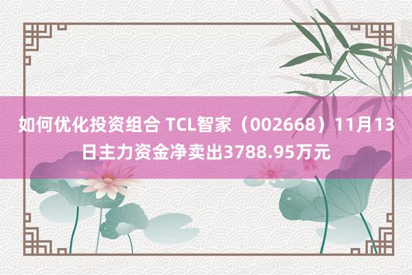 如何优化投资组合 TCL智家（002668）11月13日主力资金净卖出3788.95万元