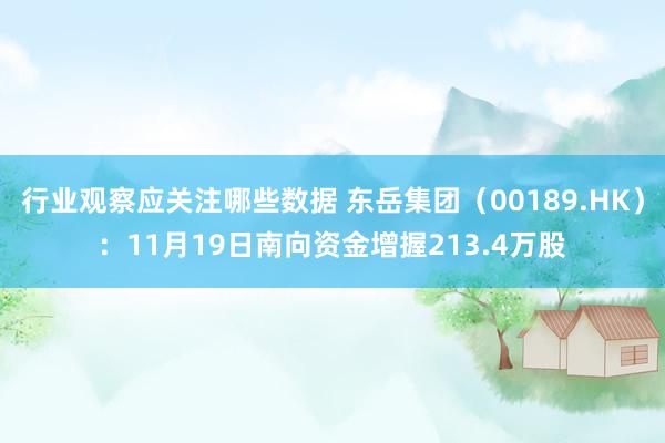 行业观察应关注哪些数据 东岳集团（00189.HK）：11月19日南向资金增握213.4万股