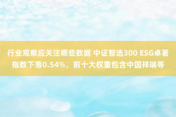 行业观察应关注哪些数据 中证智选300 ESG卓著指数下落0.54%，前十大权重包含中国祥瑞等