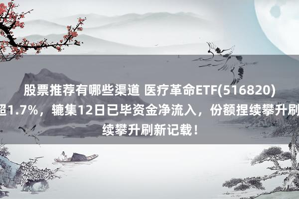 股票推荐有哪些渠道 医疗革命ETF(516820)盘中涨超1.7%，辘集12日已毕资金净流入，份额捏续攀升刷新记载！