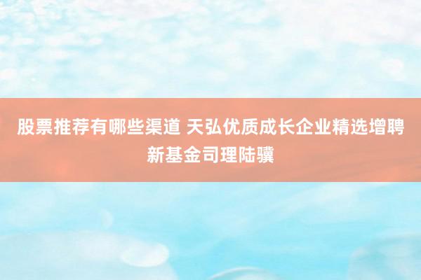 股票推荐有哪些渠道 天弘优质成长企业精选增聘新基金司理陆骥