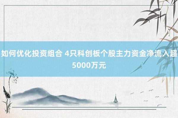 如何优化投资组合 4只科创板个股主力资金净流入超5000万元