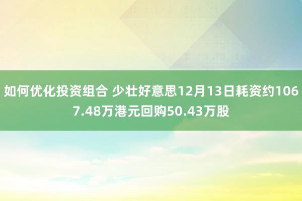 如何优化投资组合 少壮好意思12月13日耗资约1067.48万港元回购50.43万股