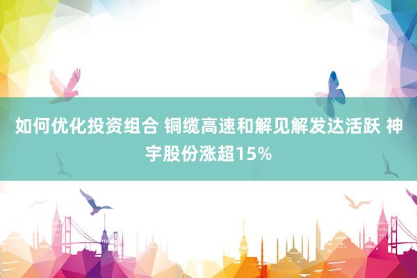 如何优化投资组合 铜缆高速和解见解发达活跃 神宇股份涨超15%