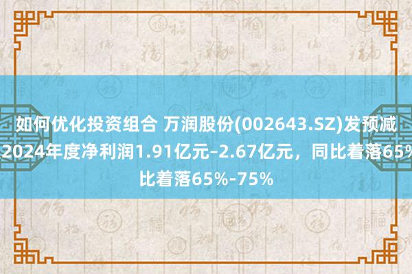 如何优化投资组合 万润股份(002643.SZ)发预减，瞻望2024年度净利润1.91亿元–2.67亿元，同比着落65%-75%