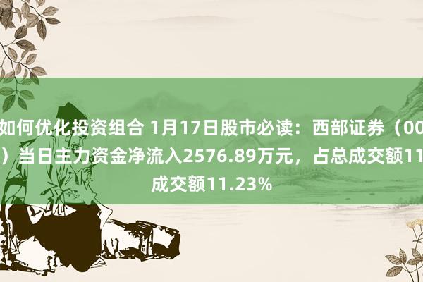 如何优化投资组合 1月17日股市必读：西部证券（002673）当日主力资金净流入2576.89万元，占总成交额11.23%