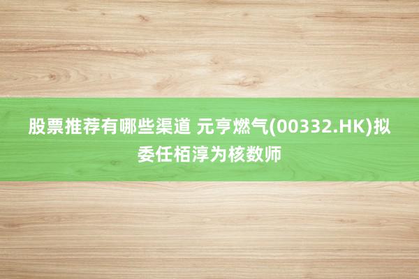 股票推荐有哪些渠道 元亨燃气(00332.HK)拟委任栢淳为核数师