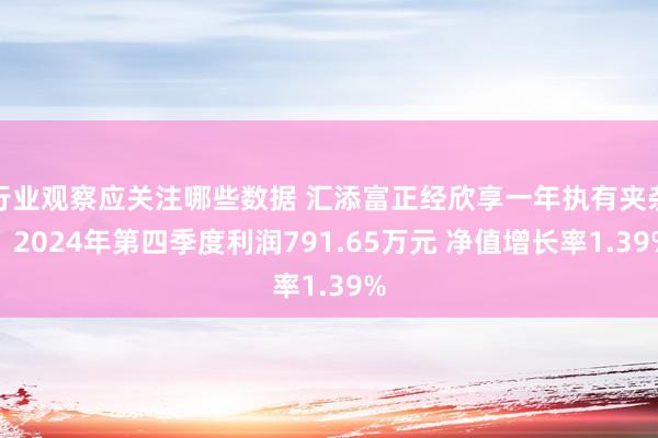 行业观察应关注哪些数据 汇添富正经欣享一年执有夹杂：2024年第四季度利润791.65万元 净值增长率1.39%