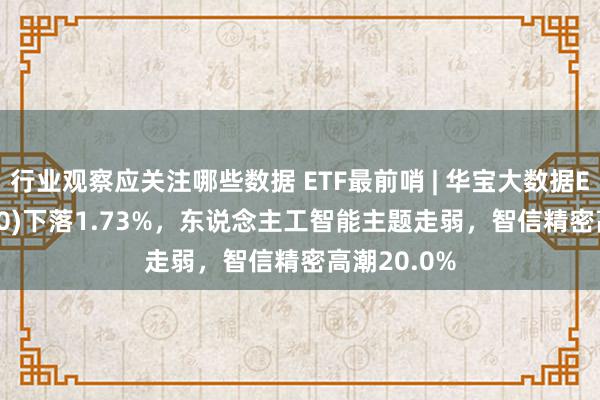 行业观察应关注哪些数据 ETF最前哨 | 华宝大数据ETF(516700)下落1.73%，东说念主工智能主题走弱，智信精密高潮20.0%