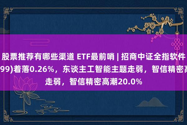 股票推荐有哪些渠道 ETF最前哨 | 招商中证全指软件ETF(159899)着落0.26%，东谈主工智能主题走弱，智信精密高潮20.0%