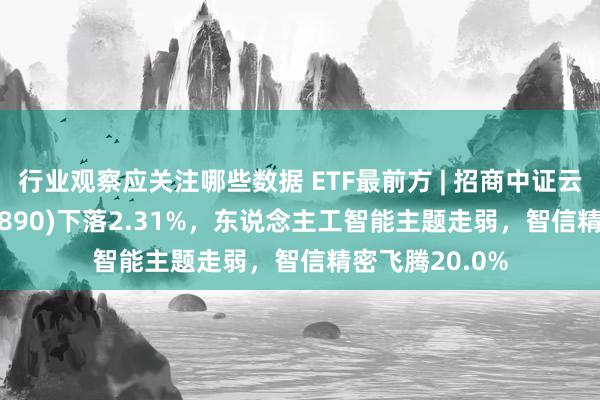 行业观察应关注哪些数据 ETF最前方 | 招商中证云计较ETF(159890)下落2.31%，东说念主工智能主题走弱，智信精密飞腾20.0%