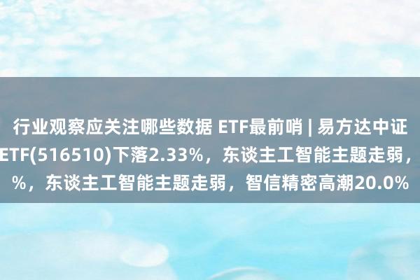 行业观察应关注哪些数据 ETF最前哨 | 易方达中证云揣测与大数据主题ETF(516510)下落2.33%，东谈主工智能主题走弱，智信精密高潮20.0%