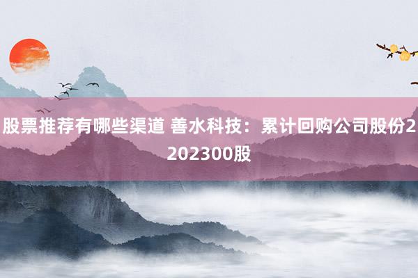 股票推荐有哪些渠道 善水科技：累计回购公司股份2202300股