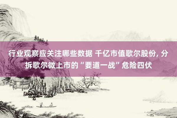 行业观察应关注哪些数据 千亿市值歌尔股份, 分拆歌尔微上市的“要道一战”危险四伏