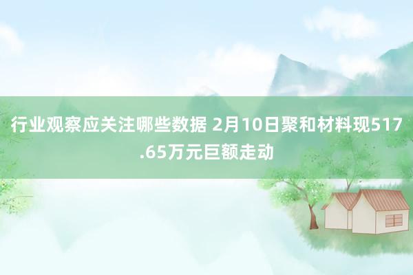 行业观察应关注哪些数据 2月10日聚和材料现517.65万元巨额走动