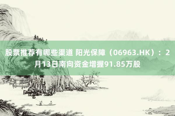 股票推荐有哪些渠道 阳光保障（06963.HK）：2月13日南向资金增握91.85万股