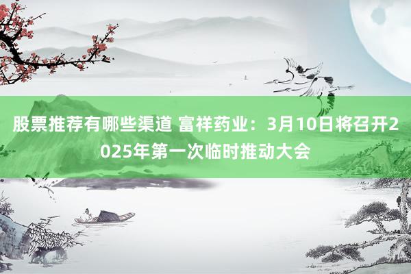 股票推荐有哪些渠道 富祥药业：3月10日将召开2025年第一次临时推动大会