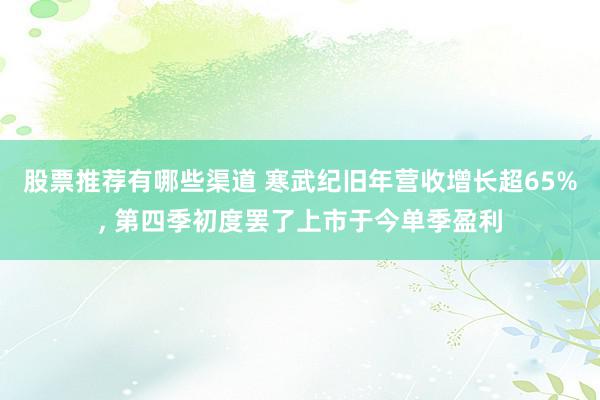 股票推荐有哪些渠道 寒武纪旧年营收增长超65%, 第四季初度罢了上市于今单季盈利