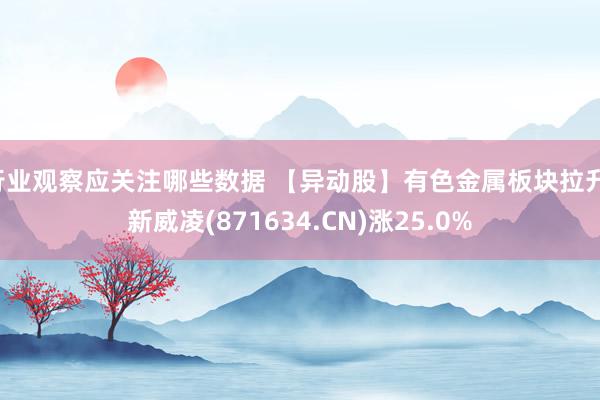 行业观察应关注哪些数据 【异动股】有色金属板块拉升，新威凌(871634.CN)涨25.0%