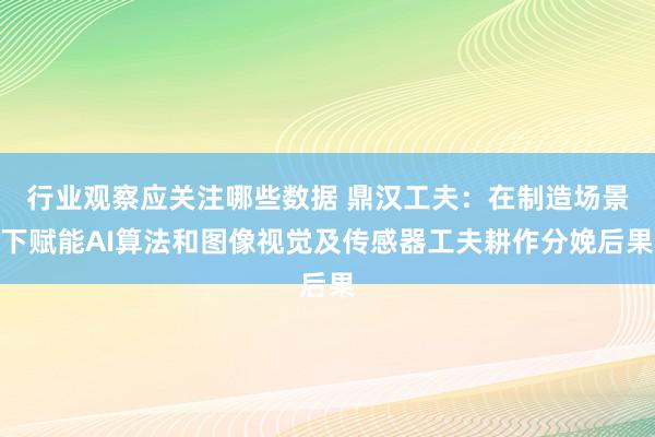 行业观察应关注哪些数据 鼎汉工夫：在制造场景下赋能AI算法和图像视觉及传感器工夫耕作分娩后果