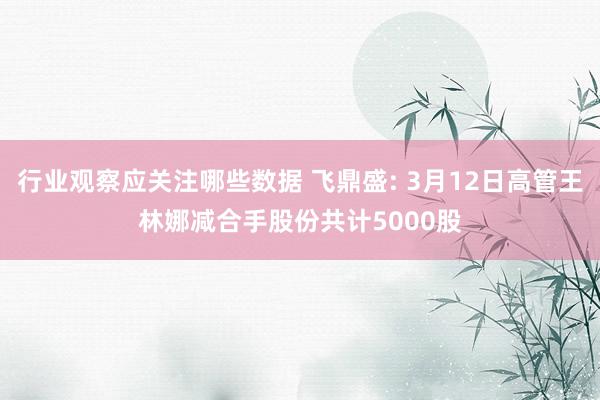 行业观察应关注哪些数据 飞鼎盛: 3月12日高管王林娜减合手股份共计5000股