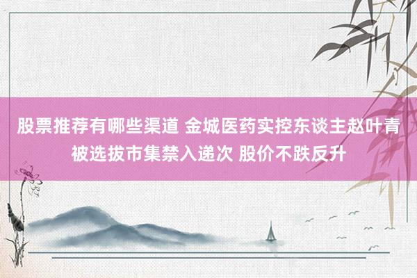 股票推荐有哪些渠道 金城医药实控东谈主赵叶青被选拔市集禁入递次 股价不跌反升